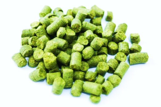 Citra (1oz)