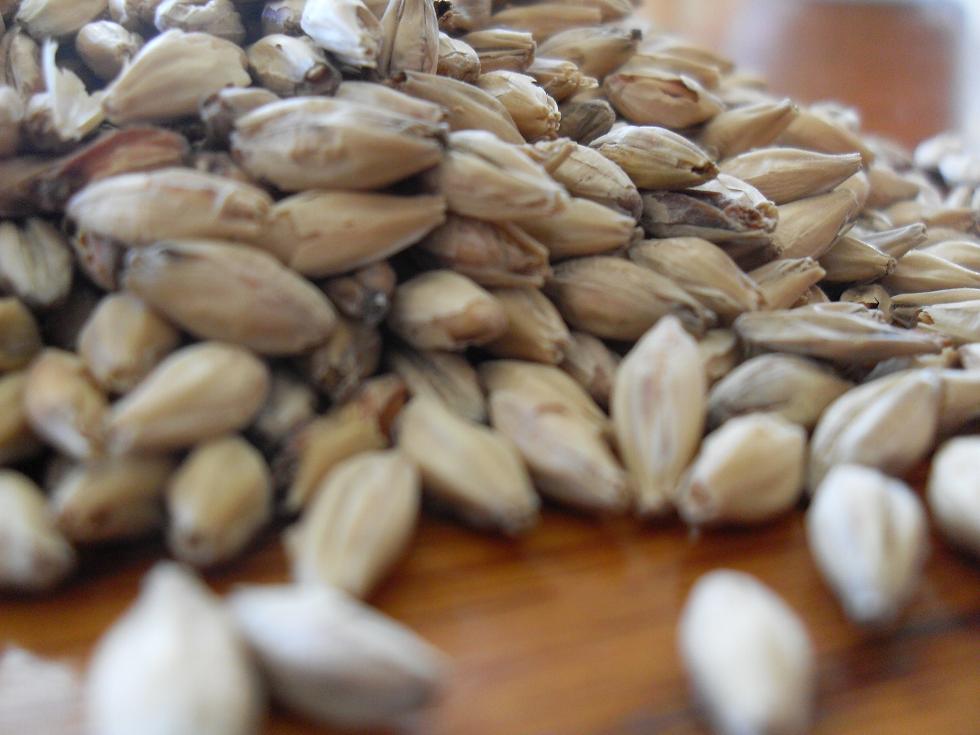 Melanoidin Malt