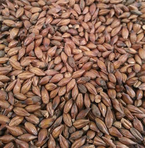 Brown Malt