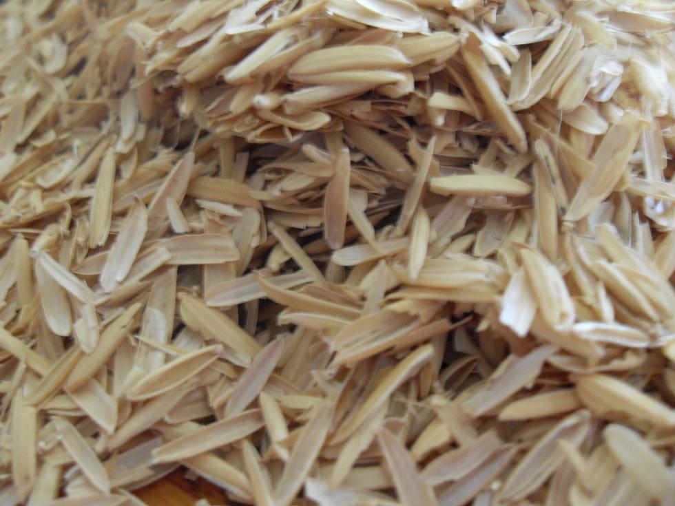 Rice Hulls